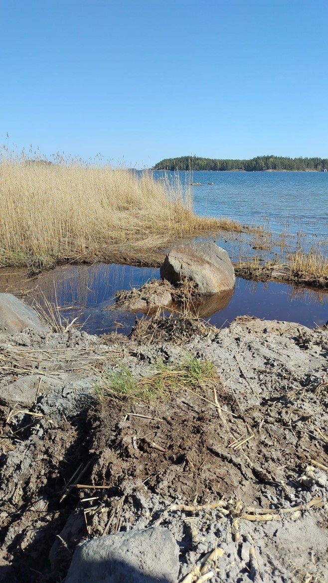 Vääry kuva 5